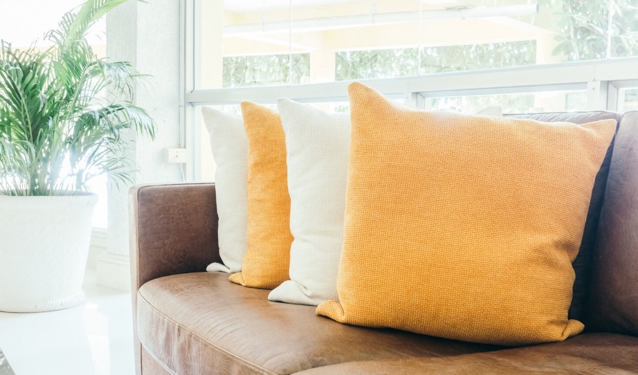 Braon sofa sa velikim žutim i belim ukrasnim jastucima, pored prozora i zelene sobne biljke